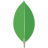 Database icon